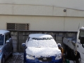 20140205220118616.jpg