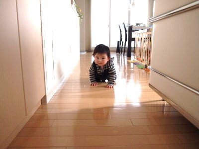 s_P1311252.jpg