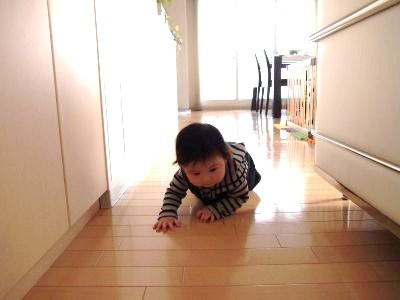 s_P1311254.jpg