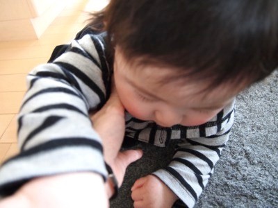 s_P1311262.jpg