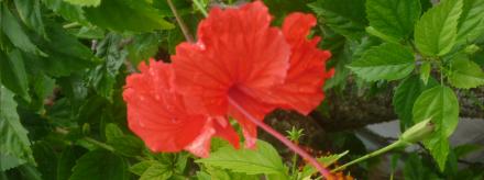 convert_20110922201054.jpg