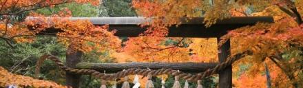 convert_20110927104950.jpg