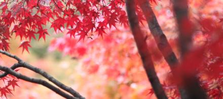 convert_20131204123157.jpg