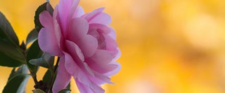 convert_20131209235404.jpg
