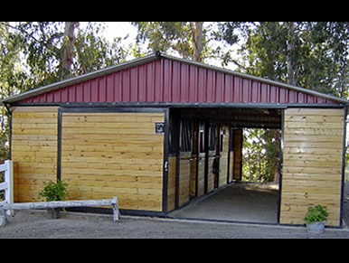 horse barn barns shedrow stall shed designs plans kit roof metal stalls pitch row overhang enclosed run sheds shelter shown