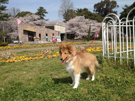 4月1日2