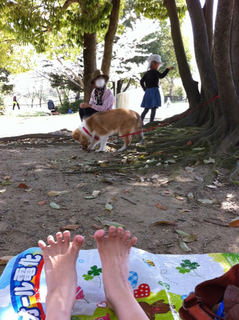 4月5日1