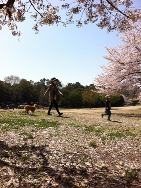 4月5日3