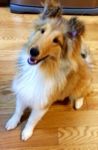 Lulu20130518_01
