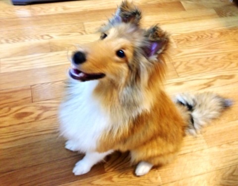 Lulu20130518_02