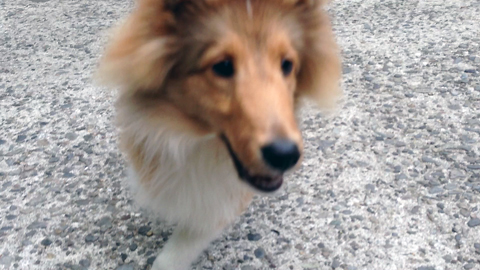 箕面公園7