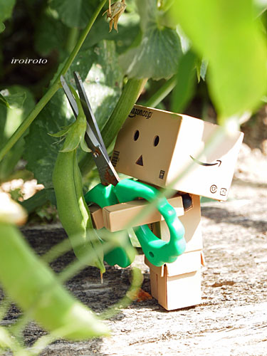 13danbo134.jpg