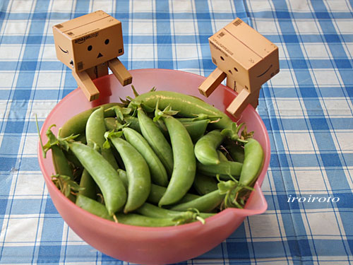 13danbo135.jpg