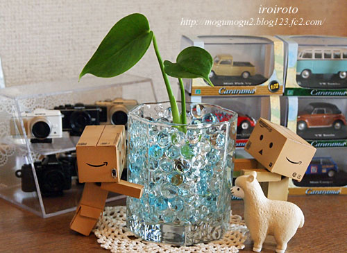 13danbo178.jpg