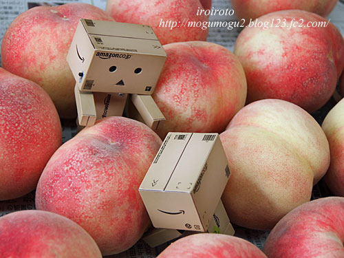 13danbo186.jpg