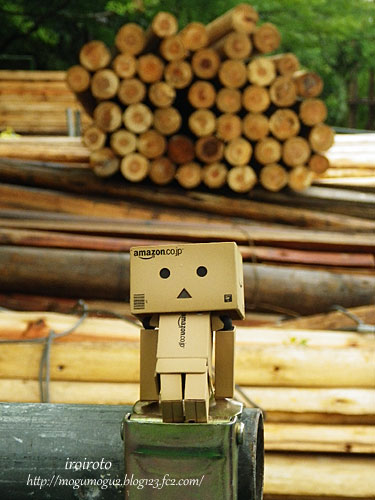13danbo187.jpg