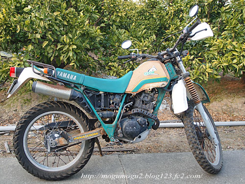 13serow00.jpg