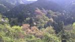 2013-05-03-152706.jpg