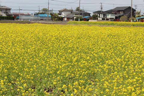 DPP_0067.jpg