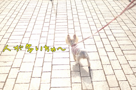 DSC09018.jpg