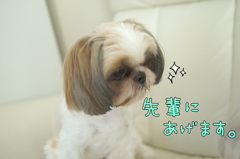 DSC09188.jpg