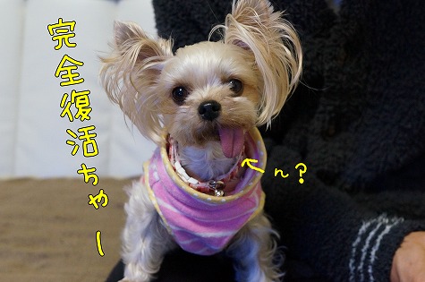 DSC09436.jpg