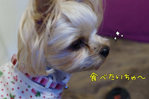 DSC09463.jpg