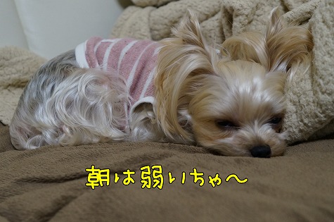 DSC09680.jpg
