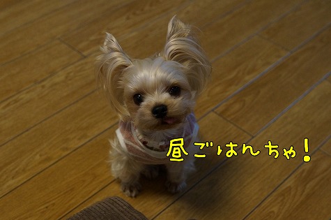 DSC09684.jpg