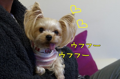 DSC09694.jpg