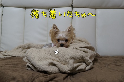 DSC09721.jpg