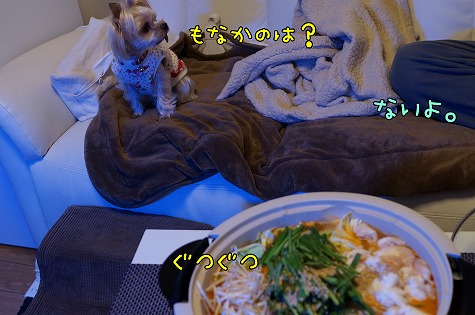 DSC09849.jpg