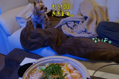 DSC09850.jpg