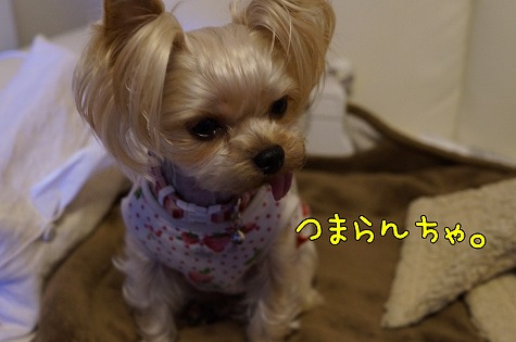 DSC09852.jpg