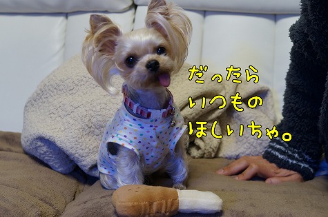 DSC09882.jpg