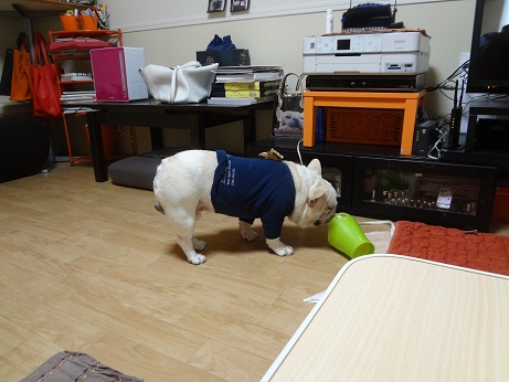 DSC06837.jpg