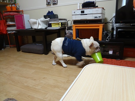 DSC06838.jpg
