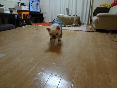 DSC06850.jpg