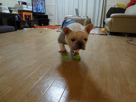 DSC06852.jpg