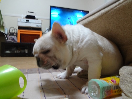 DSC06974.jpg