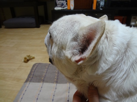 DSC07005.jpg