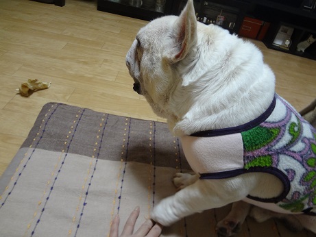DSC07013.jpg
