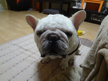 DSC07015.jpg