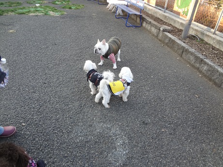 DSC07173.jpg