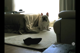 IMG_1563.png