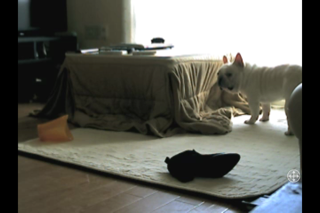 IMG_7312.png