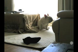 IMG_8454.png