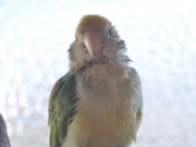 DSC_5841.jpg