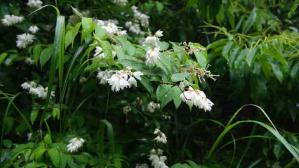 130519_r008.jpg