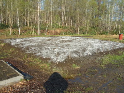 R0010102.jpg